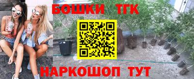 сатива Волгодонск