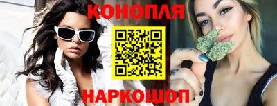 сатива Волгодонск