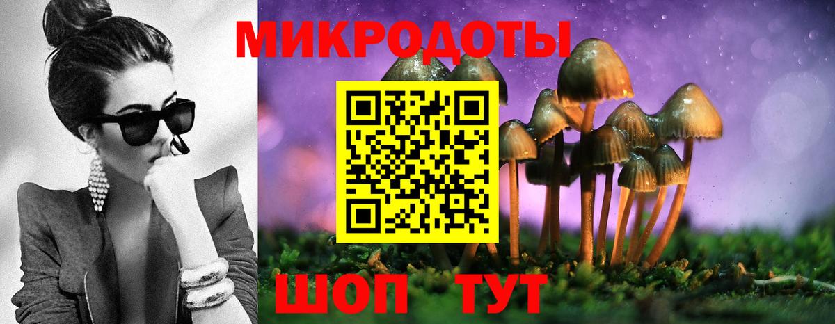 Галлюциногенные грибы прущие грибы  Вход с VPN  Сухой Лог 